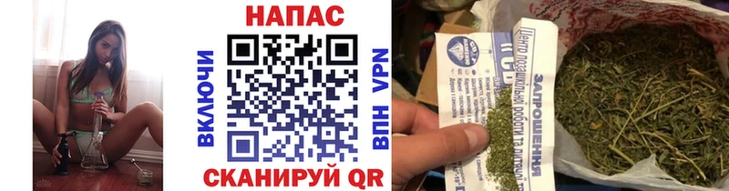 кракен зеркало  Николаевск-на-Амуре  Бошки Шишки гибрид  купить закладку 